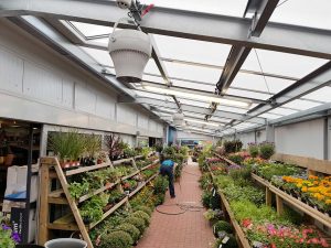 Airius-Cooling-&-Destratification-Fans-In-Horticulture-12