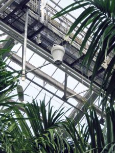 Airius-Cooling-&-Destratification-Fans-In-Horticulture-5