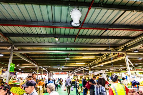 Airius-Cooling-Fans-Installation-at-Dandenong-Markets-4